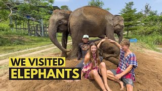 Visiting ELEPHANTS in Chiang Mai, Thailand 🇹🇭