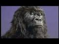 Cadbury dairy milk drumming gorilla advert