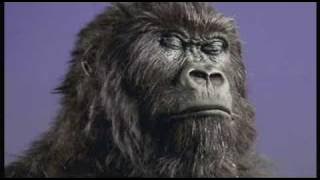 Cadbury Dairy Milk Drumming Gorilla Advert