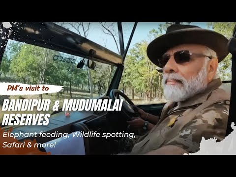 Video: Mundumalai en Bandipur Tiger Reserves-Jumbo Adventures in the Nilgiris