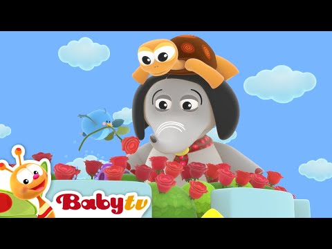 Duizend Rode Rozen Liedjes Rijmpjes BabyTV Nederlands