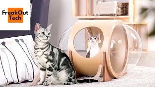 5 Awesome Cat Inventions You Never Knew About