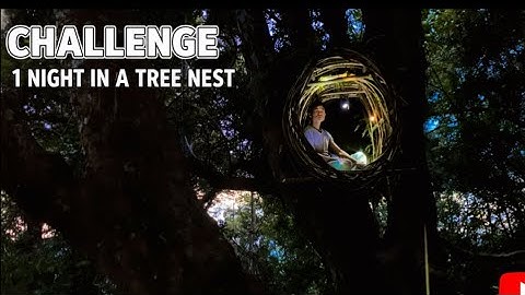 build a warm comfortable tree house complex HC survival survival shelter bird house in the forest