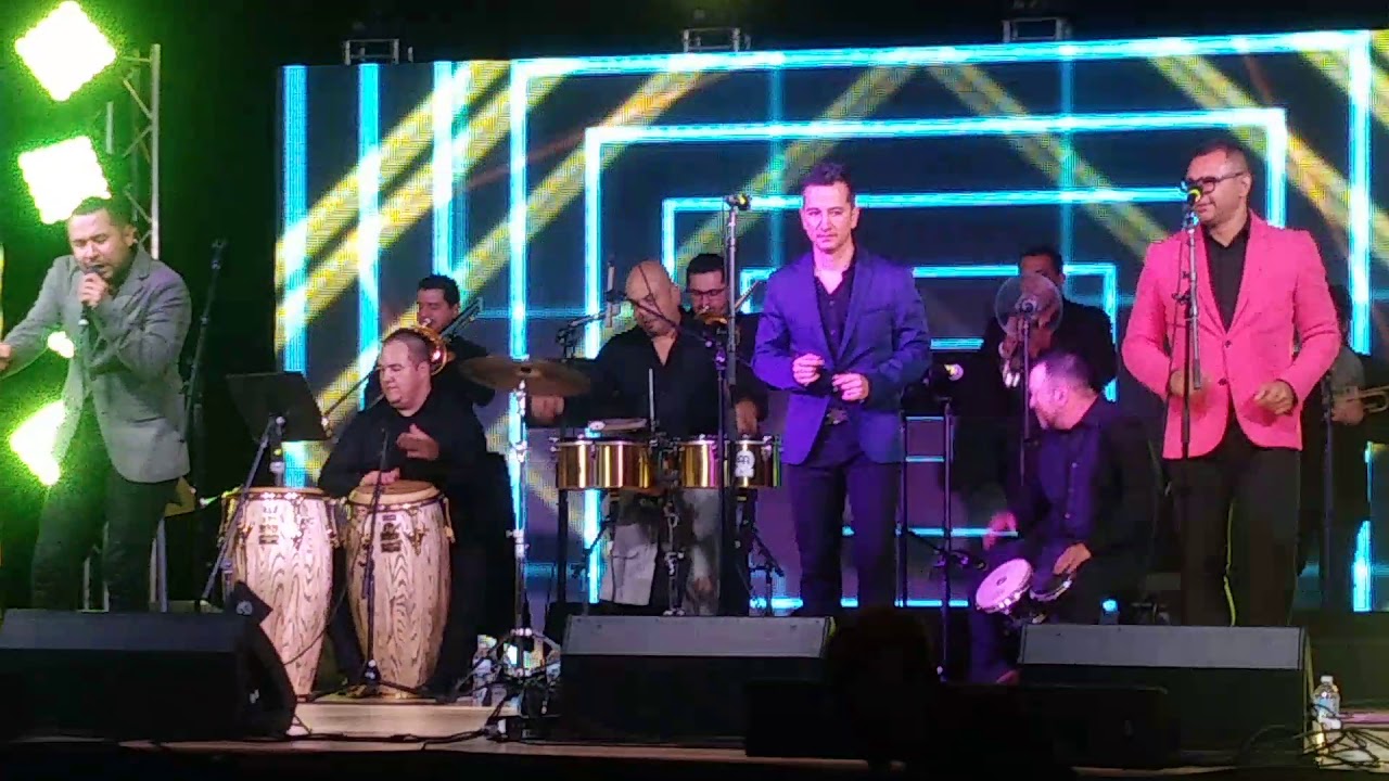Salsa Congress YouTube