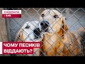 ВЛАСНИКИ ВІДДАЮТЬ СОБАК! Безвідповідальність чи гуманність?