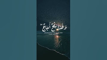 وَمَا يَسْتَوِي الْبَحْرَانِ هَٰذَا عَذْبٌ فُرَاتٌ #سورة_فاطر #تلاوة_خاشعة #محمد_أيوب #تلاوات
