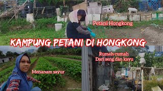 Download Mp3 Seperti ini rumah-rumah petani di Hongkong.\\ Pedesaan HongKong Gudang lagu Download Mp3 Seperti ini rumah-rumah petani di Hongkong.\\ Pedesaan HongKong