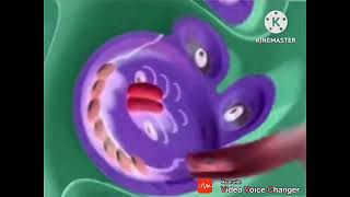 Reupload Zoopals In G Major 64Lost Effect