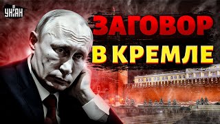 Король голый! Раскрыт реальный рейтинг Путина. В Кремле зреет заговор: Вову сдадут с потрохами
