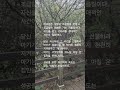 자기 자신에게 시간을 선물하라#기다려주는것#rain #마음치유 #달빛휴식실#비내리는날