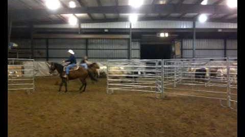 Holly Doc Training Sorting Practice b 3-9-2010.mov