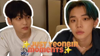 JUST YEONBIN MOMENTS
