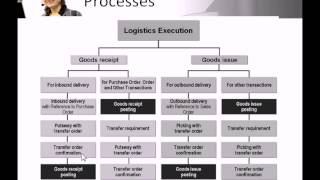 SAP Logistics Execution & Warehouse Management