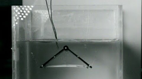 Bio-inspired Underwater jumping robot