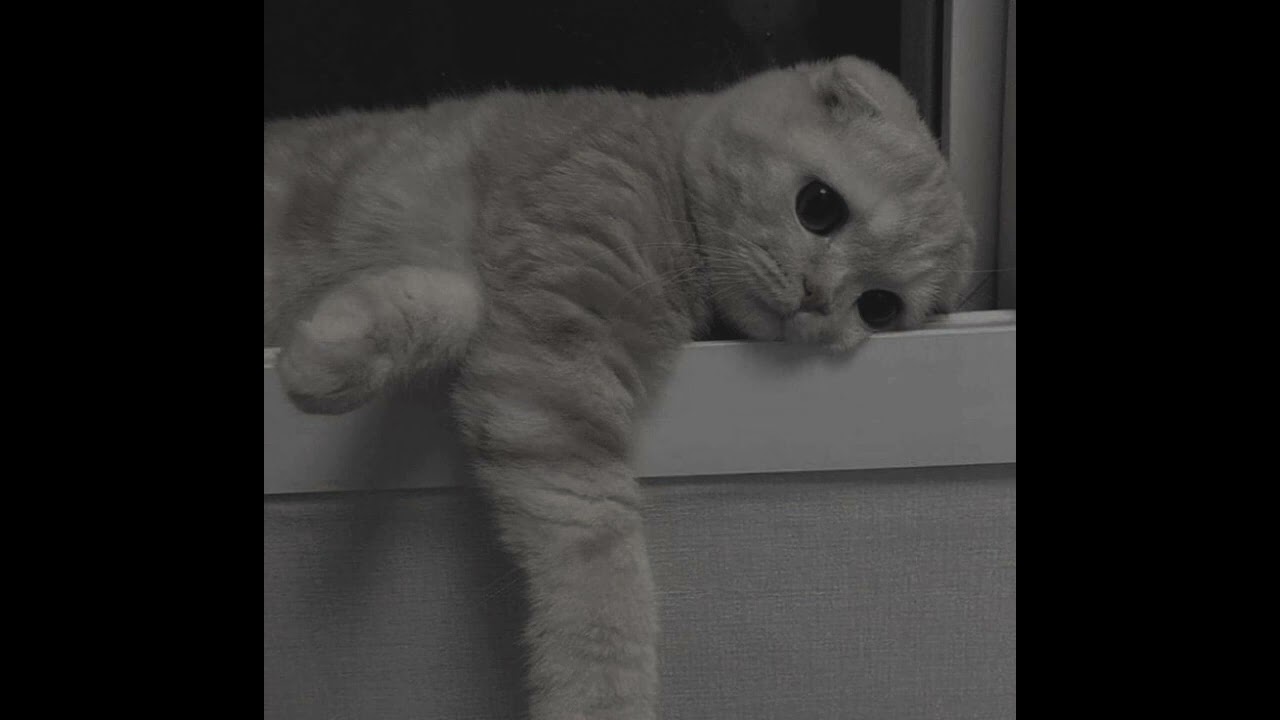 13 angels standing guard at your bed(fast version) YouTube