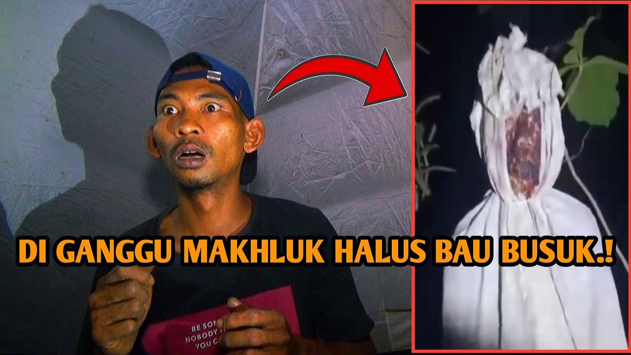 HOROR‼️ DI GANGGU MAKHLUK HALUS SOLO CAMPING DI HUTAN RAWA