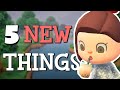 5 things should be in the next animal crossing game