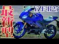 【進化した!!】新型YZF-R25が凄かったぞ!!!【2019モデル】