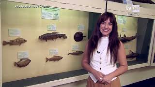 Museos sin Límites: Museo de historia natural de la UNMSM (28/05/2022) | TVPerú