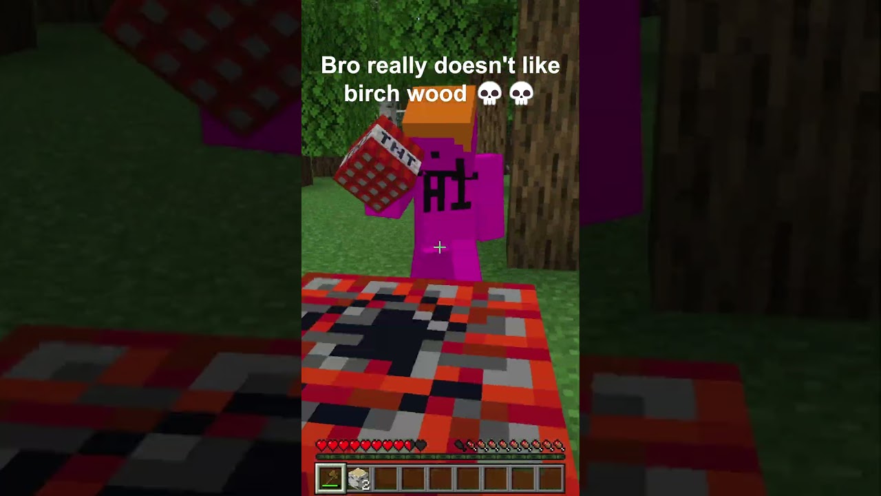 Bro with birch wood 💀#minecraftmemes #minecraft #shorts