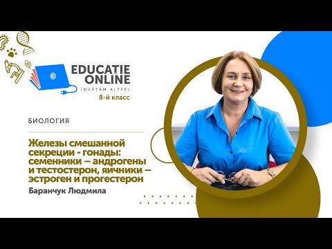 Биология, 8-й класс, Железы смешанной секреции - гонады: семенники – андрогены и тестостерон...