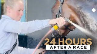 WHAT HAPPENS IN THE 24 HOURS AFTER A HORSE RACES? NEWMARKET RACECOURSE