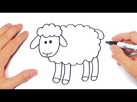 Как нарисовать овечку | How to draw a Sheep Step by Step