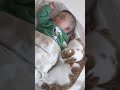 猫と赤ちゃんの昼寝姿にひたすら癒やされる
