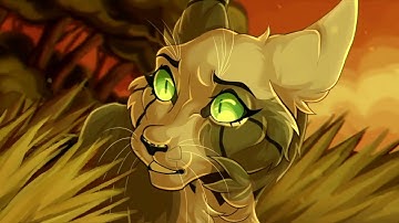 NUMB - A IvyPool Map - BACKUPS open