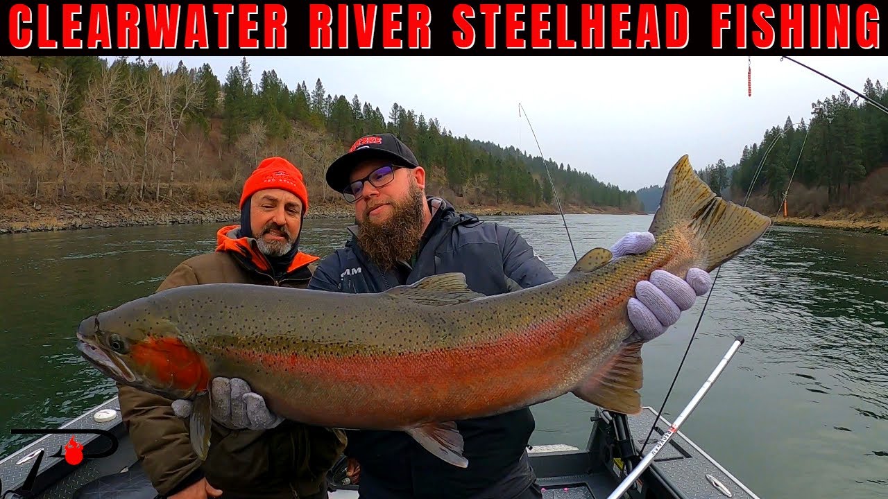 Clearwater River Steelhead Fishing YouTube Clearwater River Steelhead Fishing YouTube