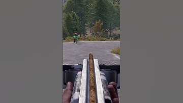 Не гоняйте пацаны в  #rust #shorts  #hfcn #раст