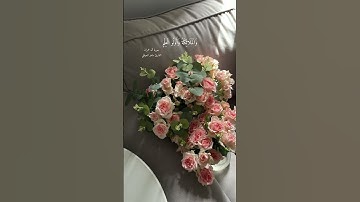 سورة آل عمران القارئ ماهر المعيقلي🤍#القرآن_الكريم#ماهر_المعيقلي#سورة_آل_عمران