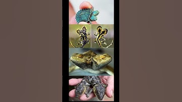 Part 7of10 Uncover the shocking truth behind 10 Mythical creatures that may have existed in reality!