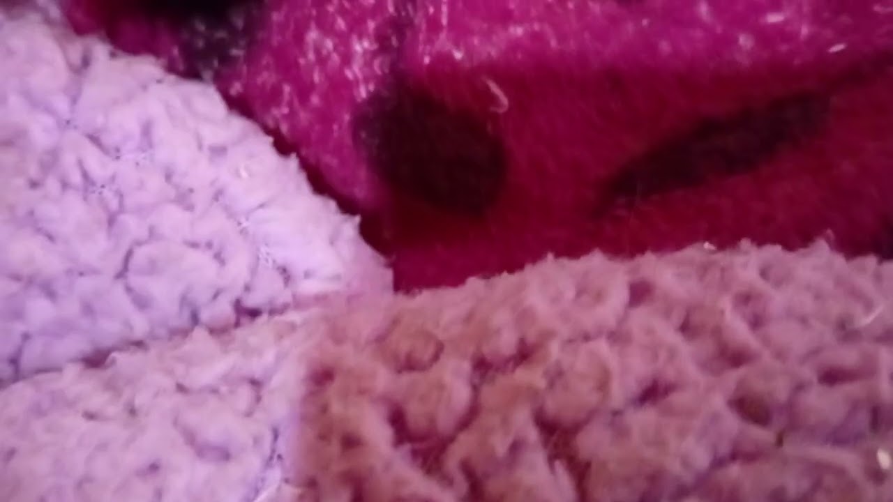 Está es mi nintendo 😎