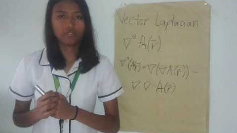 Terte-Laplacian of a Vector-Vector Analysis