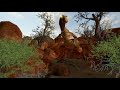 FMM UV32 Velociraptor Sound Effects 