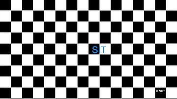 Dynamic Checkerboard Horizontal X2 Viewing Paradigm 60 bpm