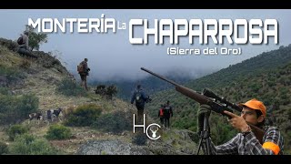 MONTERIA CHAPARROSA (Sierra del Oro)