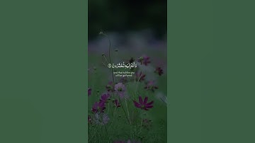 تلاوة هادئة تريح النفس🍁 ﴿ يَا أَيُّهَا الَّذِينَ آمَنُوا اسْتَجِيبُوا لِلَّهِ وَلِلرَّسُولِ .. ﴾