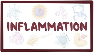 Inflammation  causes, symptoms, diagnosis, treatment, pathology