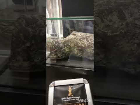 شوف قطع عنبر الحوت تساوي مليون ريال بس Shorts