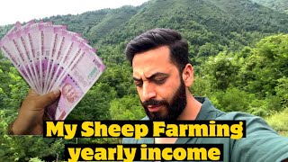 MY SHEEP FARMING YEARLY INCOME | mai sheep farming se kitna kamata hu | @ovaisreshivlogs |