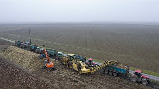 Déterrage De Betteraves En Beauce I Nouvelle Activité Pour La Team Beauce Transport I Ropa Maus 5