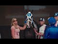 A Day in the Life of Stonerside's Broodmare Manager, Ben Lynch! #StaffStories