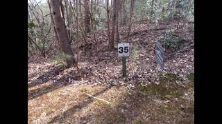 11 Matthews Creek Rd video tour