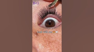 How To Apply diy Lashes | For Beginners |B&Q Lashes| #diylashes #lashlife