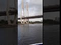 Под вантовым мостом.