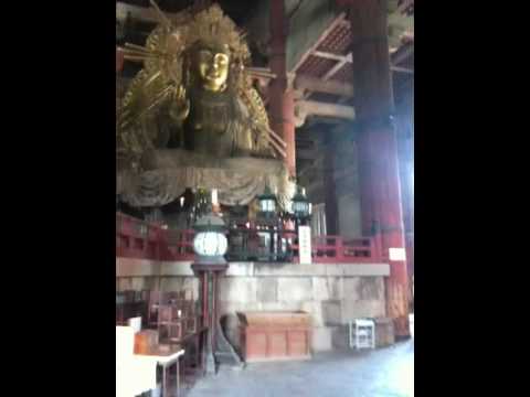 Video: Tempio Todai-ji: Alcuni Fatti Interessanti