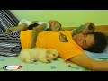 Lovely Baby Puppy Sweet Dream While Cuties LUNA & KAKO Hugging MOM Sleeping