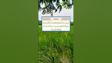 الشيخ سعد الغامدي سورة يونس الآية 107